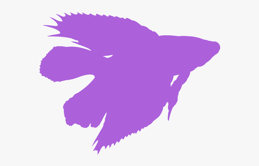 Betta Splendens Double Tail, Transparent Clipart