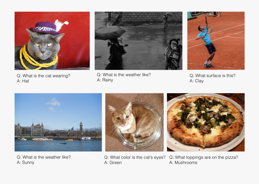 Topics - Domestic Short-haired Cat, Transparent Clipart