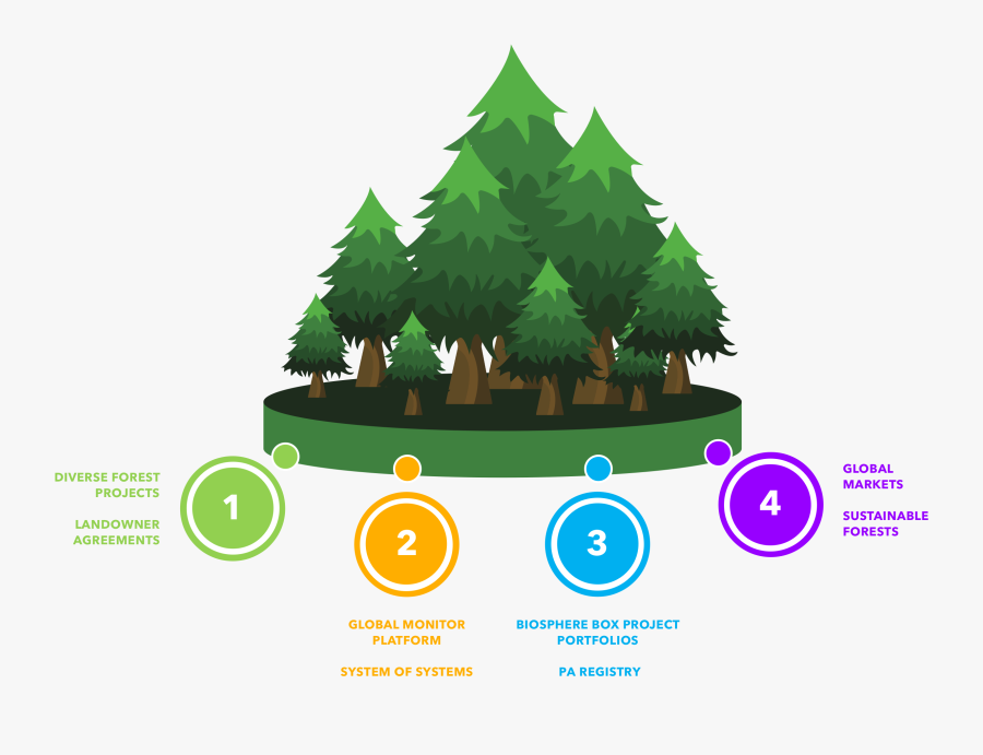 How It Works - Christmas Tree, Transparent Clipart