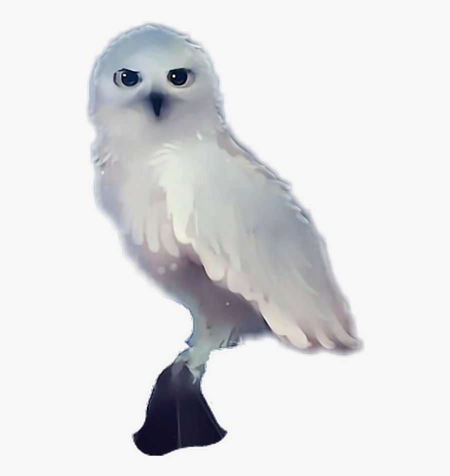 #hedwig - Snowy Owl, Transparent Clipart