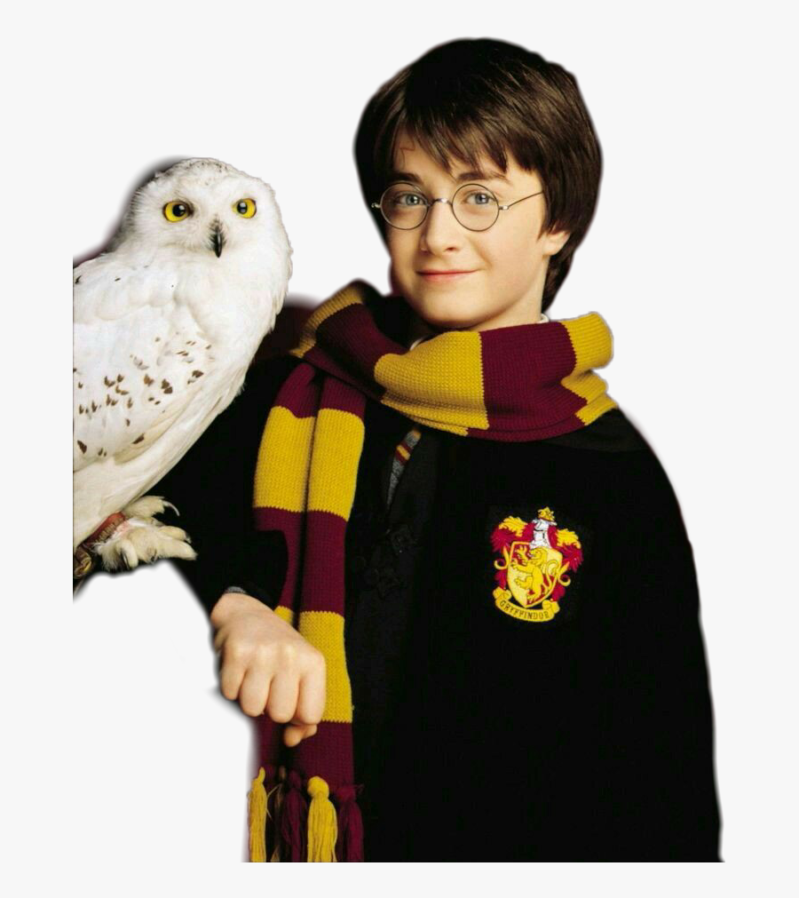 #harrypotter #harryjamespotter #sticker #goldentrio - Harry Potter, Transparent Clipart