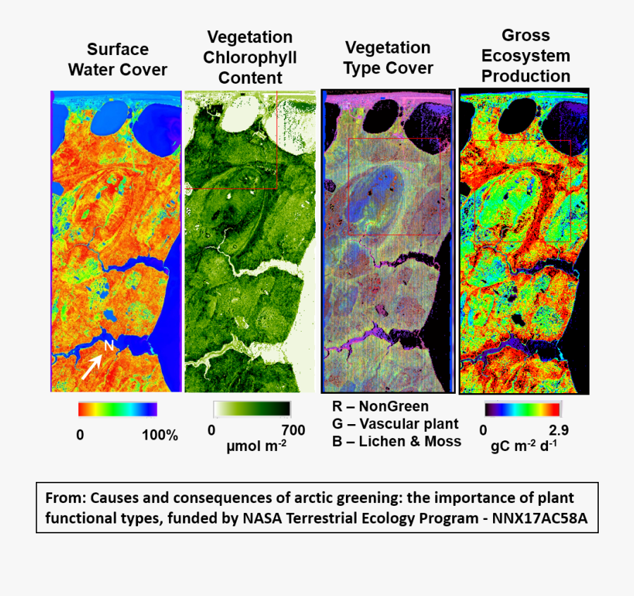 Graphic Design, Transparent Clipart