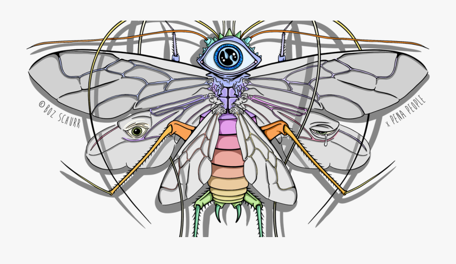 Cartoon, Transparent Clipart