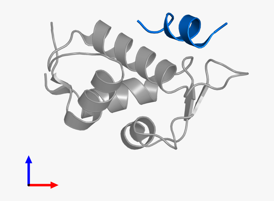 Graphic Design, Transparent Clipart