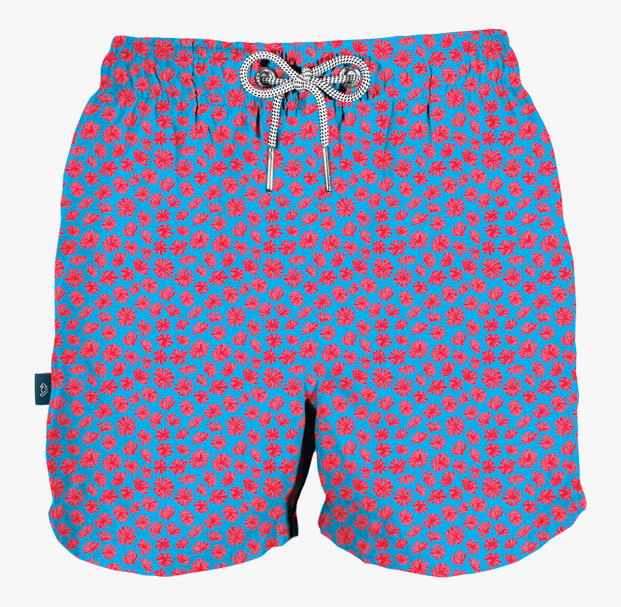 Board Short, Transparent Clipart