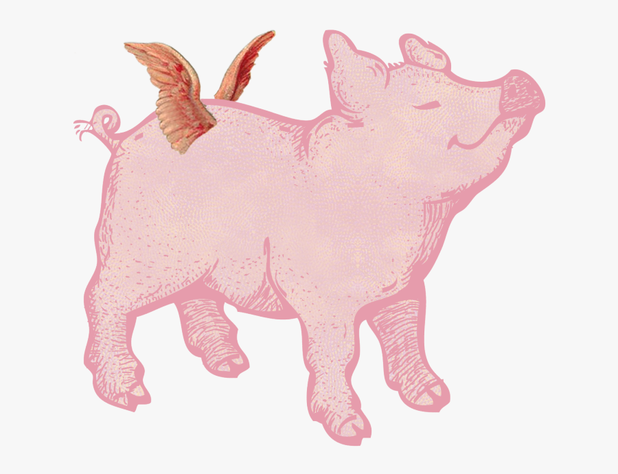 Hog Clipart Pink Thing - Pig With Wings Transparent, Transparent Clipart