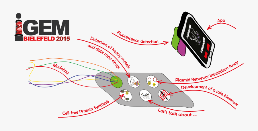 Sex Chat Rooms Erfurt - Graphic Design, Transparent Clipart