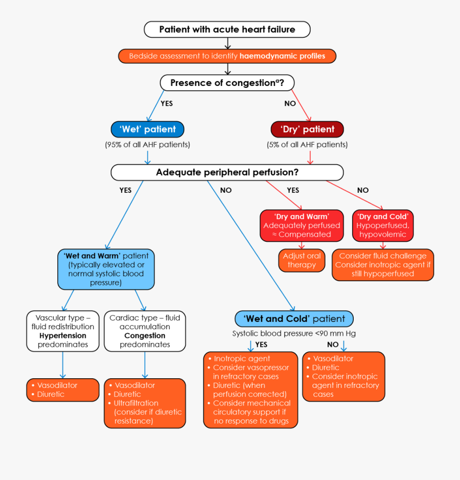Acute Heart Failure Therapy, Transparent Clipart