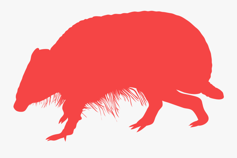 Clip Art, Transparent Clipart