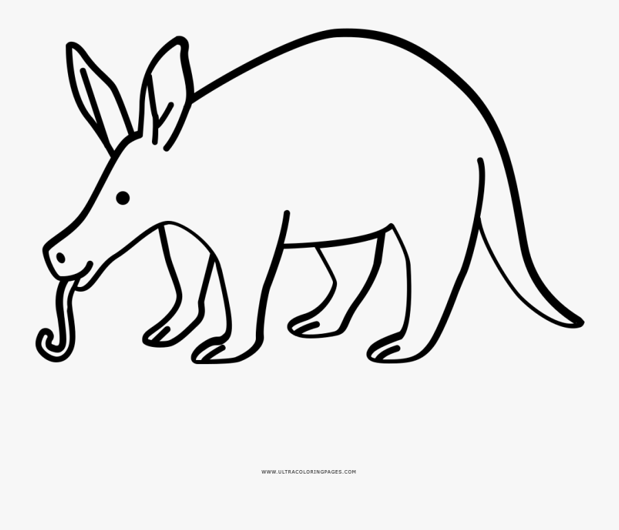 Aardvark Cerdo Hormiguero Coloring Page, Printable Aardvark Drawing
