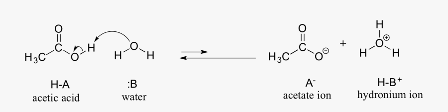 Chemistry Clip Acid Base - Acetate To Acetic Acid, Transparent Clipart
