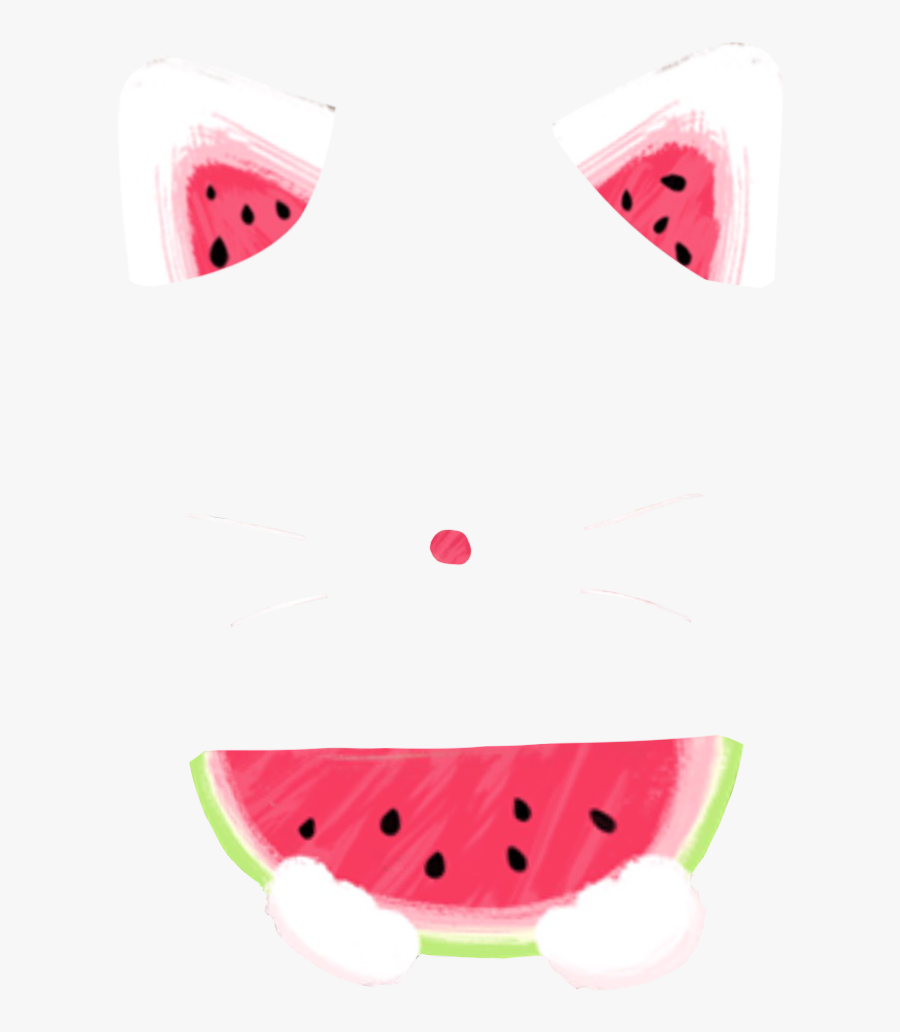 #cute #watermelon #filter #snowfilter #cat #catfilter - Watermelon, Transparent Clipart