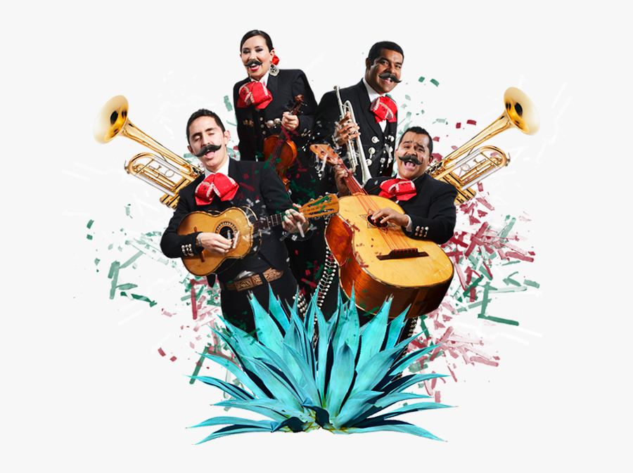 Trumpet, Transparent Clipart