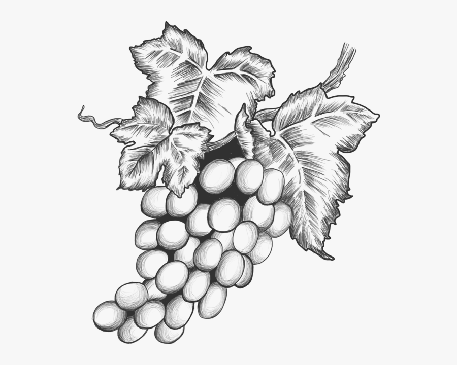 Transparent Raisins Png - Sultana, Transparent Clipart