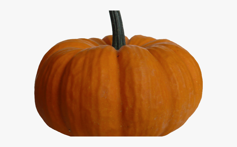 Pumpkin Png Transparent, Transparent Clipart