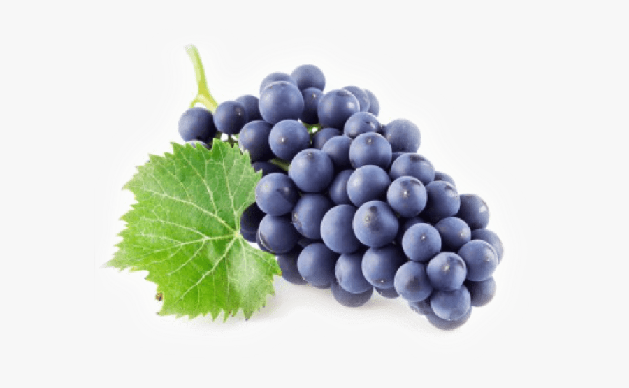 Transparent Black Grapes Png, Transparent Clipart