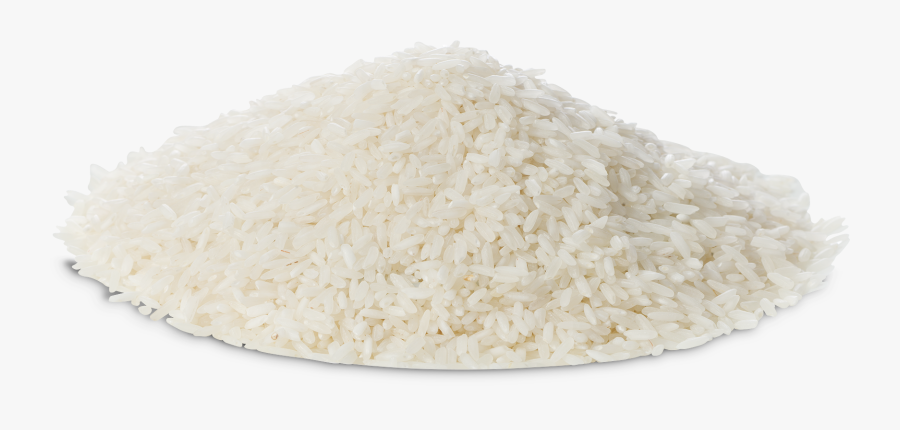 grain of rice png rice grains transparent background free transparent clipart clipartkey grain of rice png rice grains