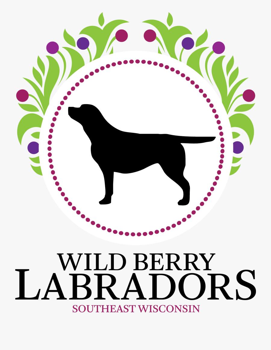 Transparent Wisconsin Clipart Dog Mom Svg Boxer Free Transparent Clipart Clipartkey