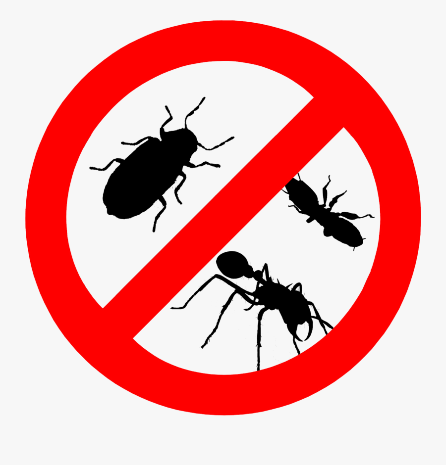 Insect Clipart Bed Bug - Pests Control, Transparent Clipart