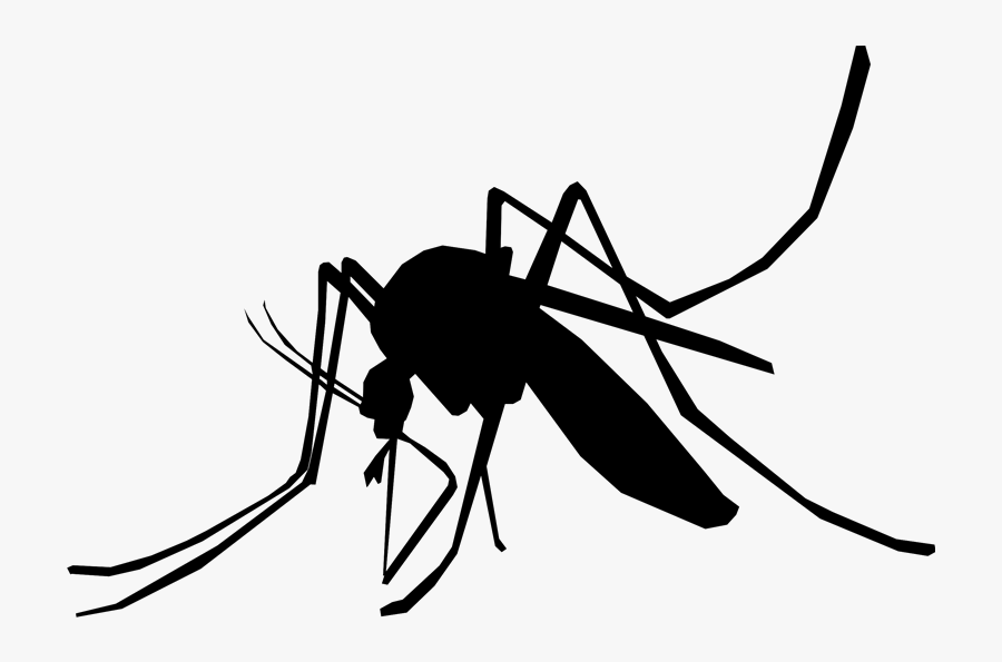 Household Insect Repellents Mosquito Control Pest Control - Mosquito Del Dengue Png, Transparent Clipart