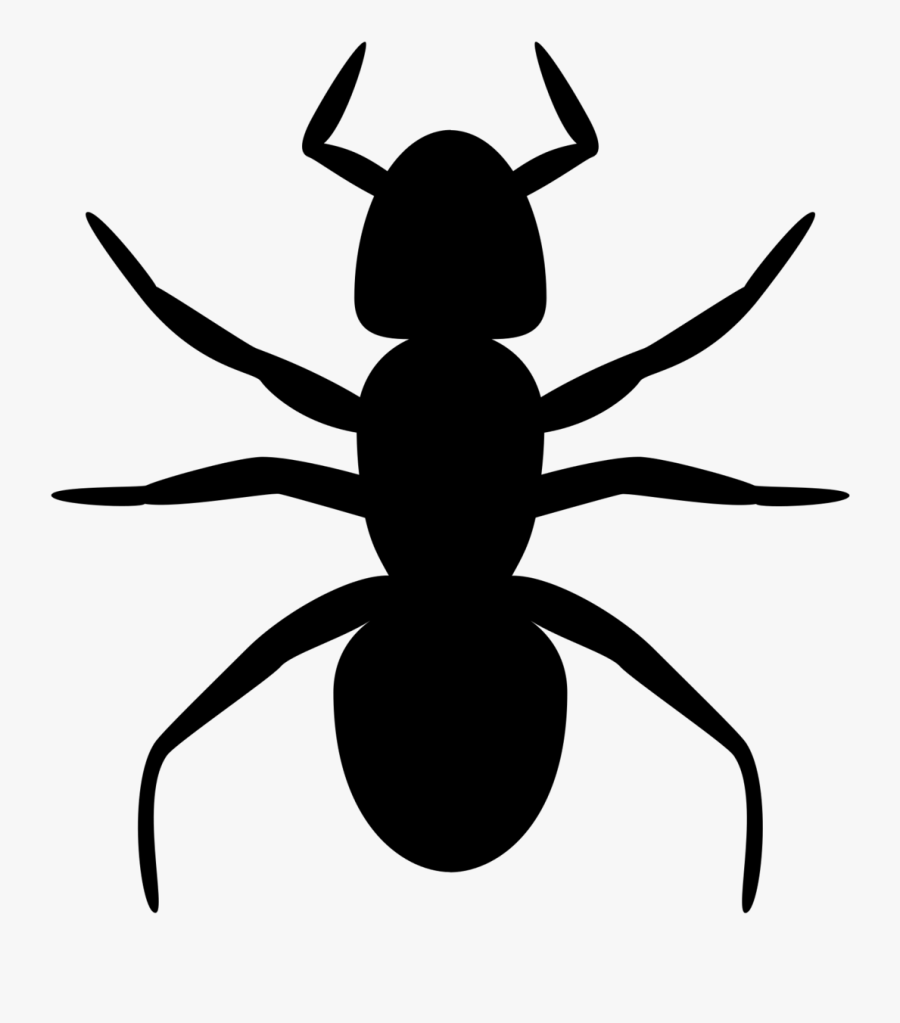 Ant Clip Art, Transparent Clipart