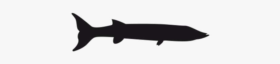 Barracuda Clipart Transparent - Silhouette, Transparent Clipart