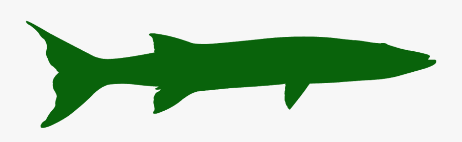 Barracuda Silhouette, Transparent Clipart