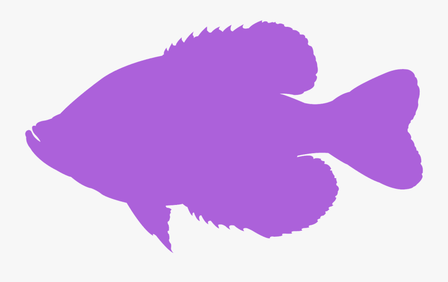 Sole, Transparent Clipart
