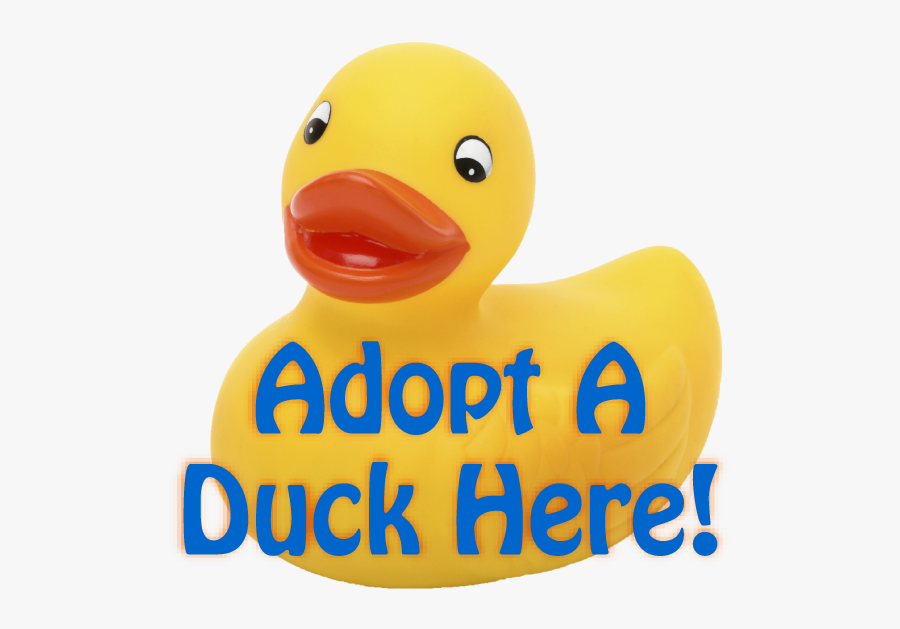 Adopt A Duck, Transparent Clipart