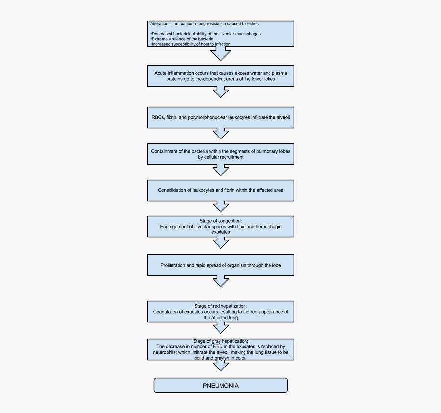 Clip Art Pneumonia Care Plan Management - Flow Chart Pathophysiology Of Lobar Pneumonia, Transparent Clipart