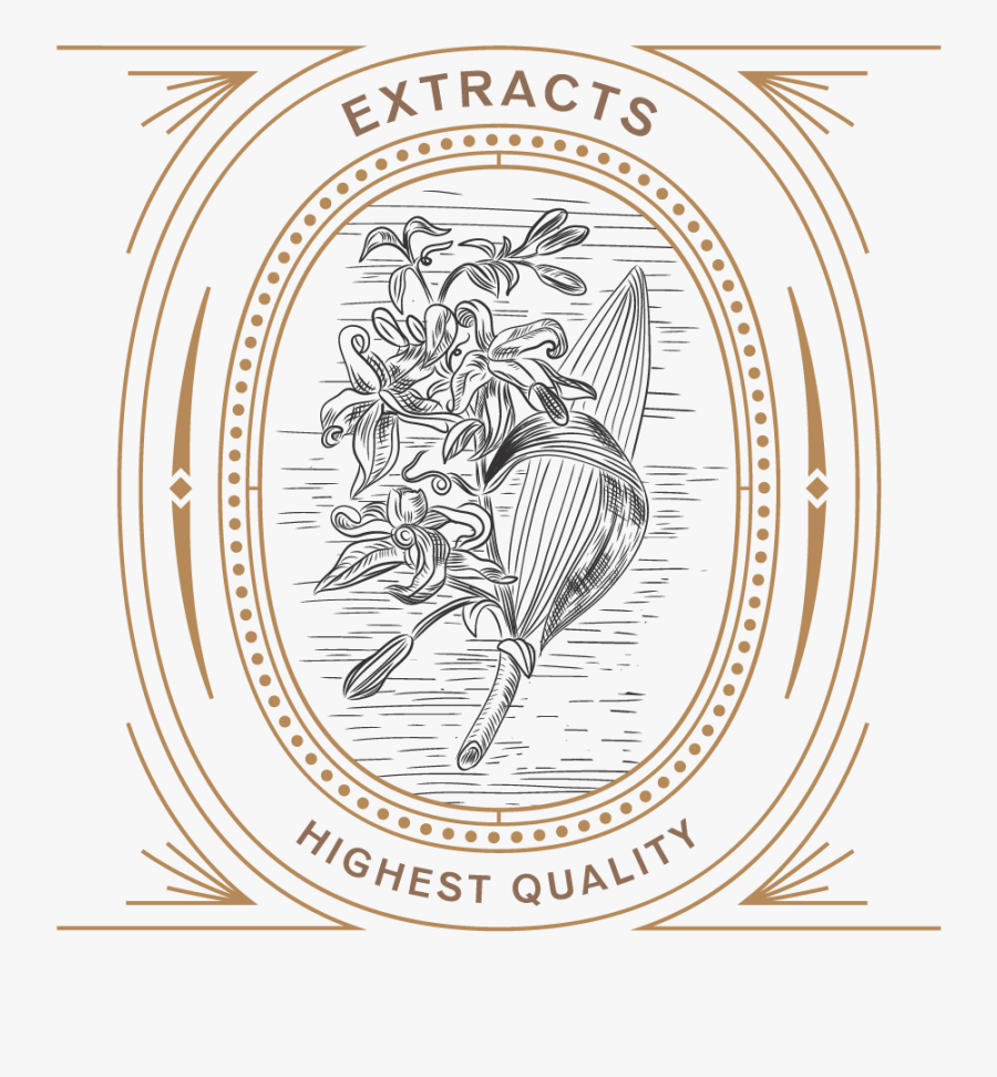 Illustration, Transparent Clipart
