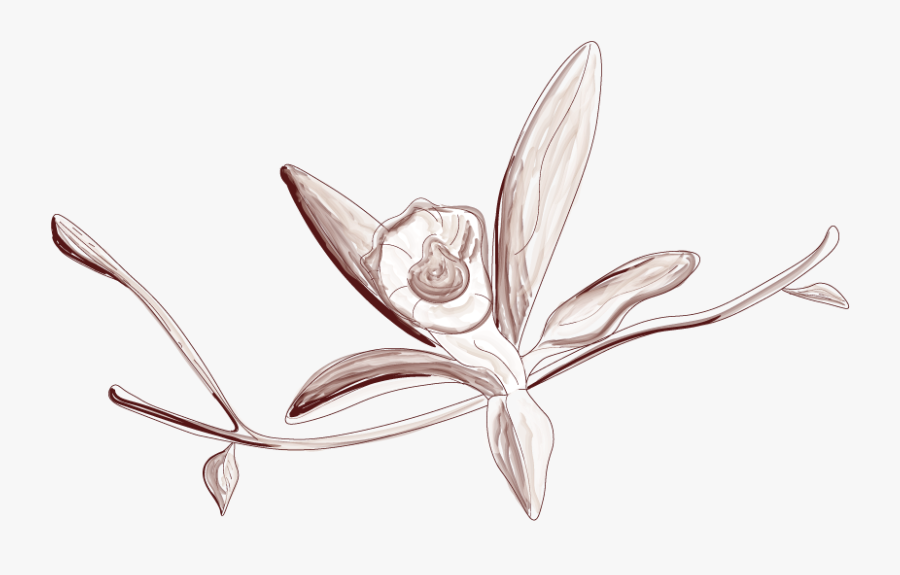 Illustration, Transparent Clipart