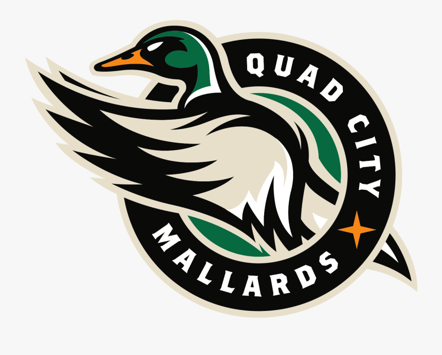 Quad City Mallards Logo, Transparent Clipart