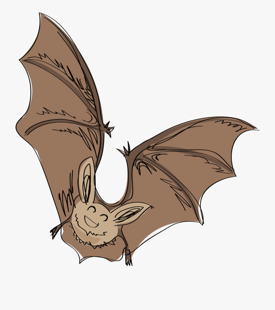 Little Brown Myotis, Transparent Clipart