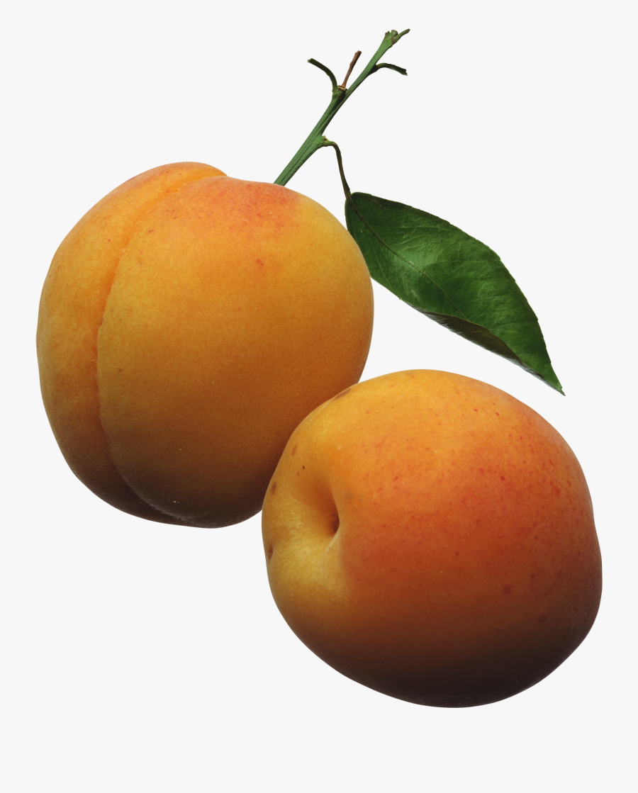 Apricots Png Clipart Picture - Apricots Clipart, Transparent Clipart
