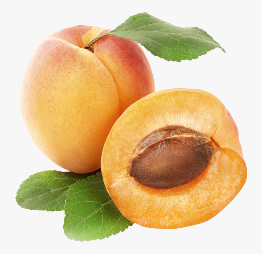 Apricots Png Clipart - Rex Orange County Apricot, Transparent Clipart