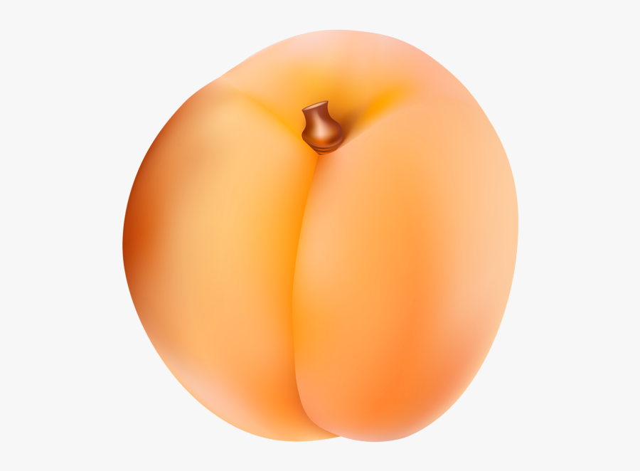 Apricot Png Clip Art Image - Apricot Art Png, Transparent Clipart