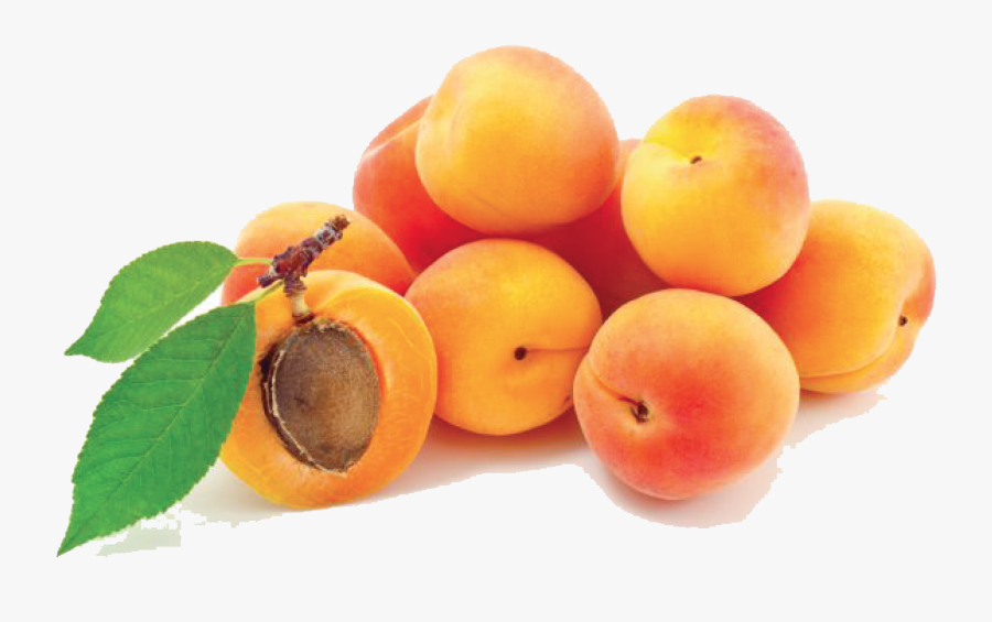 Animal Jam Clans Wiki - Peach And Apricot Png, Transparent Clipart