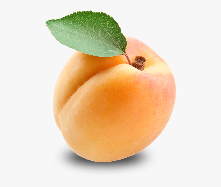 Apricot Png, Transparent Clipart
