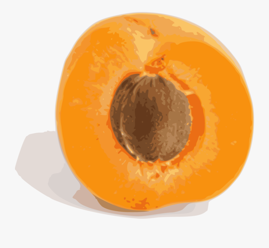 Orange,food,plant - Apricot Fruit, Transparent Clipart