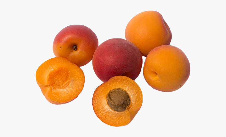 Clip Art Vegetables And Herbs Apricots - Apricot, Transparent Clipart
