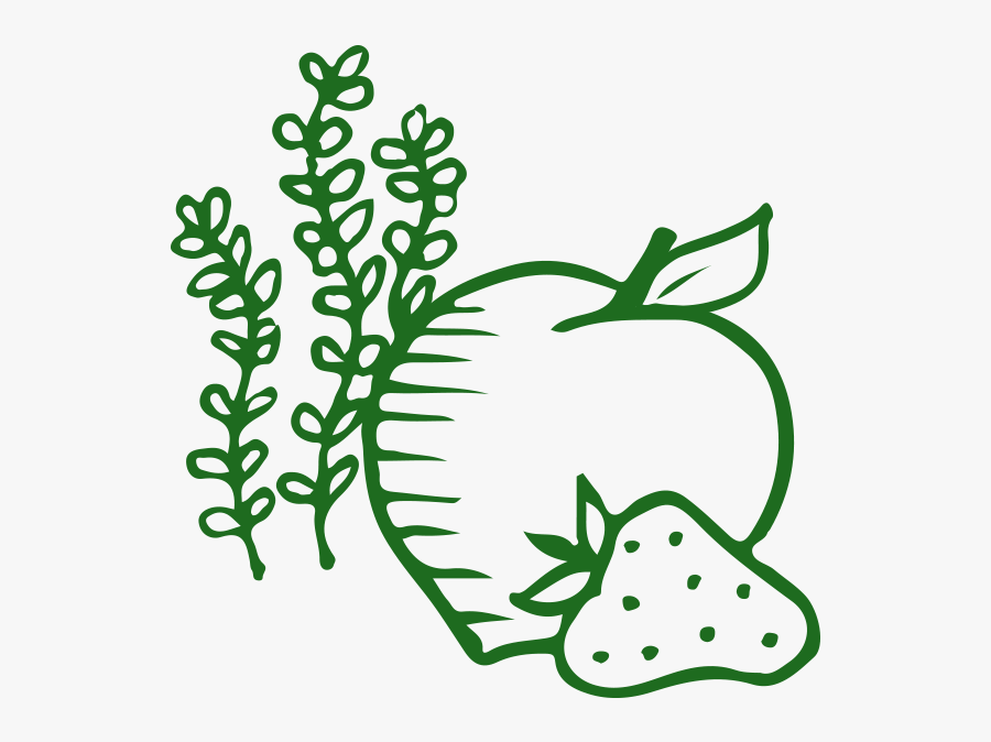 Tea Flavors, Transparent Clipart