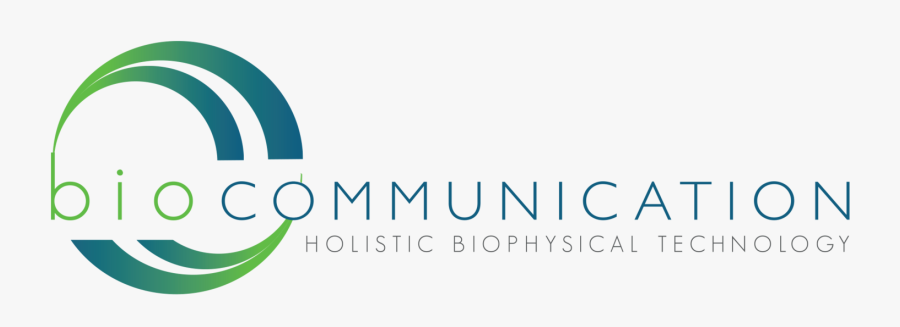 Transparent Last Chance Png - Graphic Design, Transparent Clipart