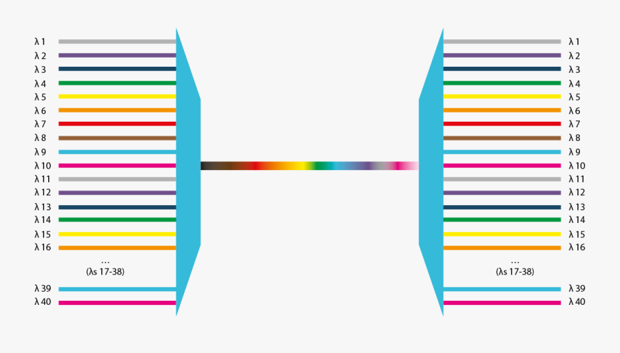 Mug Shot, Transparent Clipart