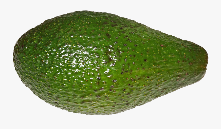 File Avocado Wikimedia Commons - Avocado With Transparent Background, Transparent Clipart