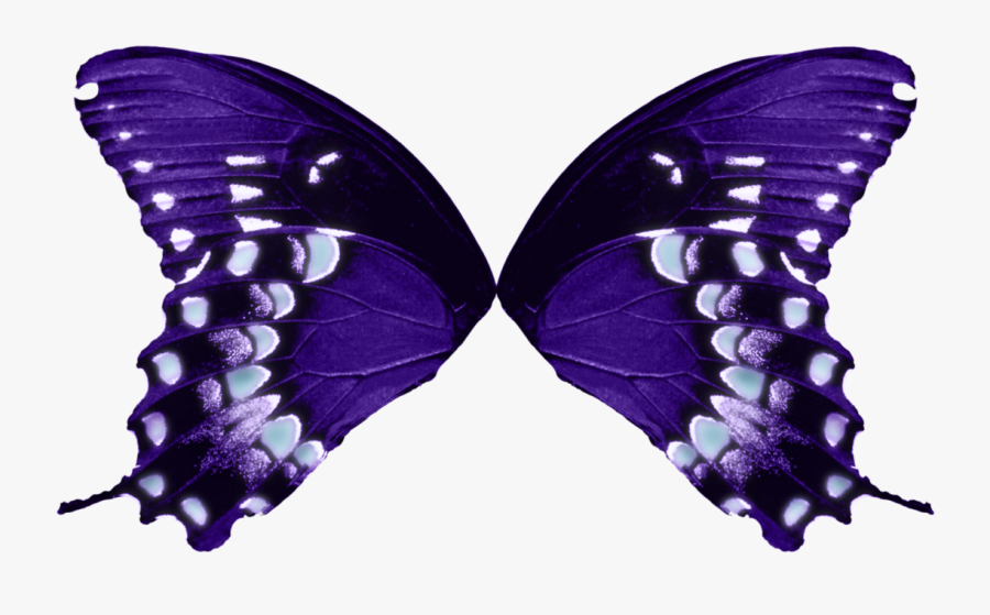 1123 X 711 - Butterfly Wings Transparent Background, Transparent Clipart