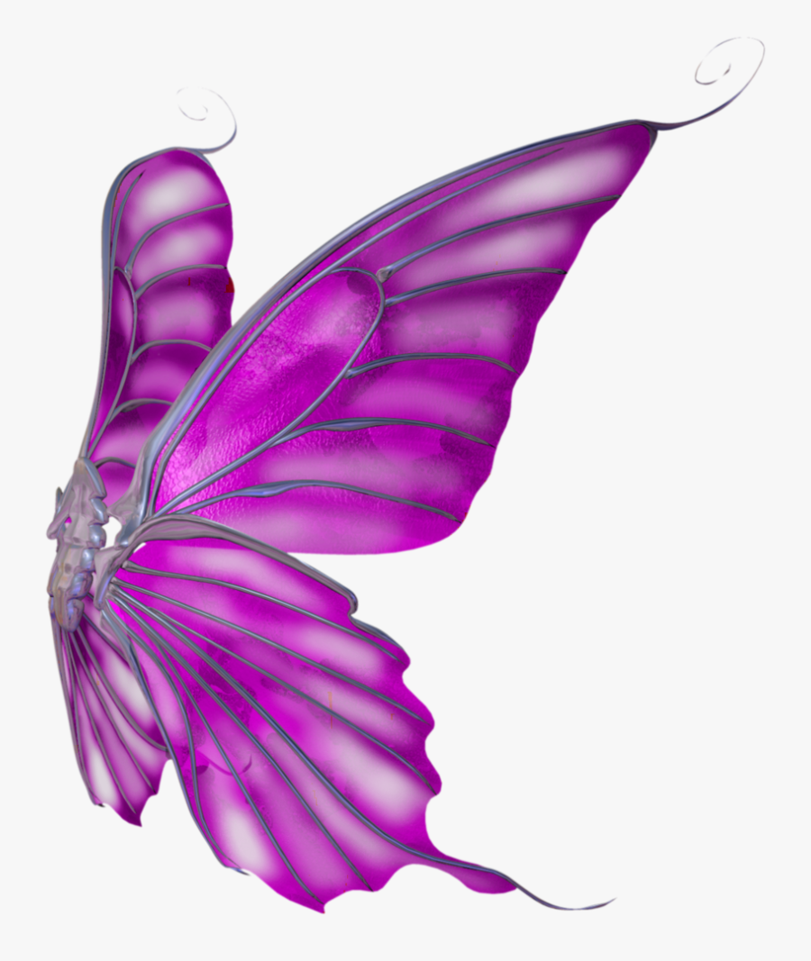 Butterfly Wings Png Clipart , Png Download - Alas De Mariposa Png, Transparent Clipart