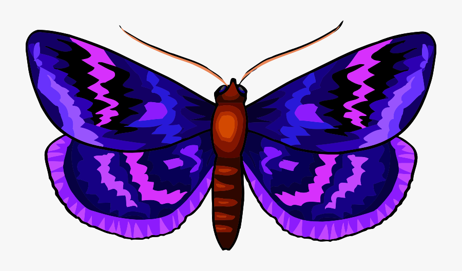 Brush-footed Butterfly, Transparent Clipart