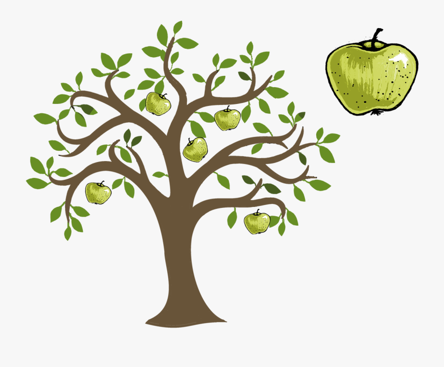 Granny Smith, Transparent Clipart