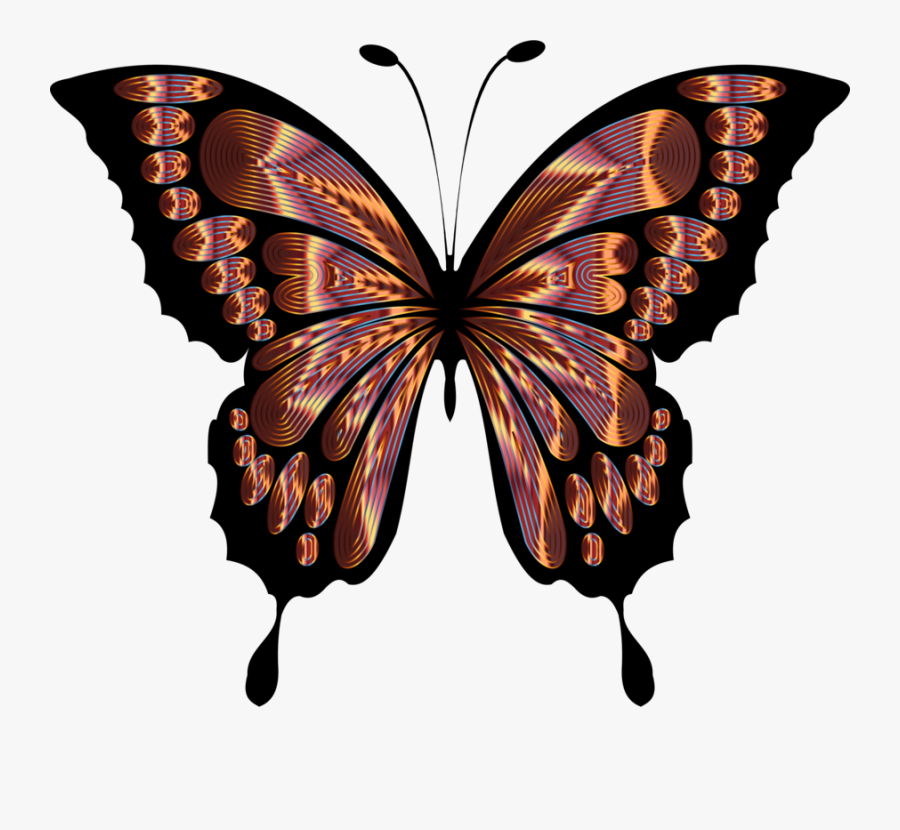 Clip Art Butterfly, Transparent Clipart
